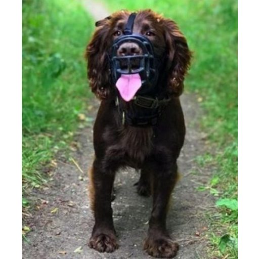 Baskerville Ultra szájkosár 6-os méret