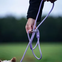   Max&Molly Matrix 2.0 kötélpóráz 200cm hosszú - levendula