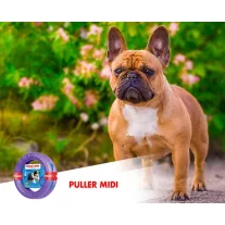 Puller Midi