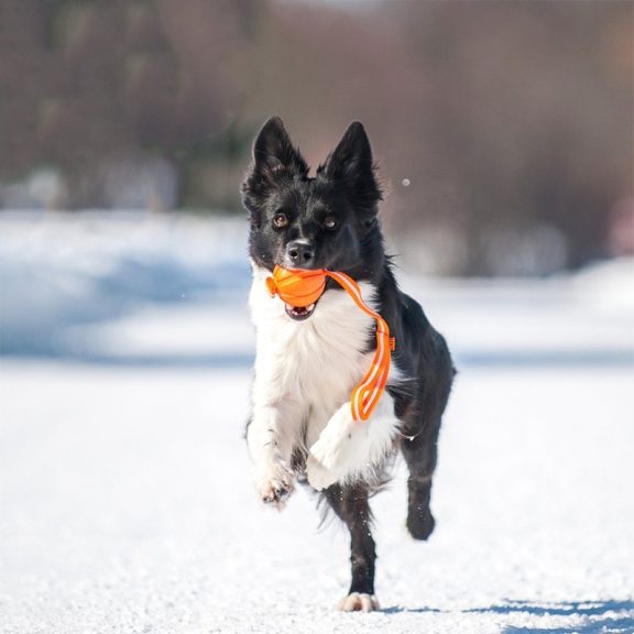 Liker Hevederes Labda, 5cm