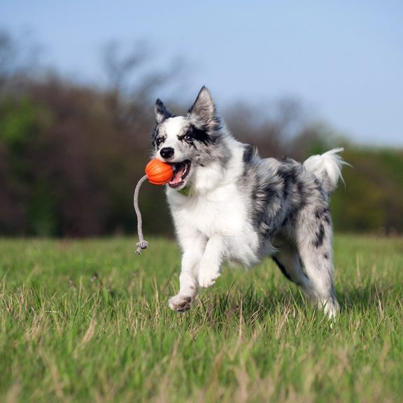 Liker Zsinóros labda 7cm