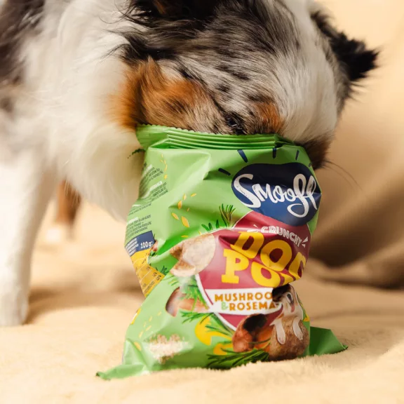 Smoofl Puffasztott rizs Chips Gomba, rozmaring