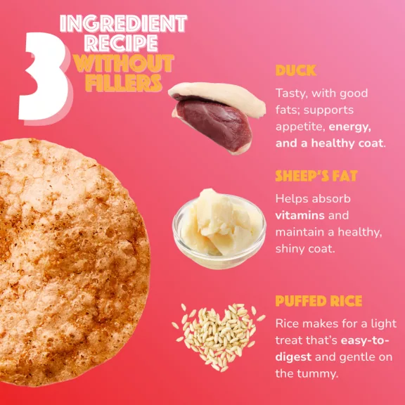 Smoofl Puffasztott rizs Chips kacsahússal