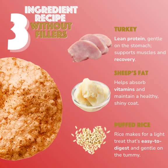 Smoofl Puffasztott rizs Chips pulykahúsos