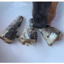 Canumi Vadon fogott atlanti makréla konzerv 100g