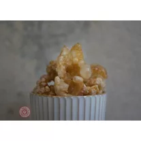 Paul&Paulina Ropogós sertéspörc 250g