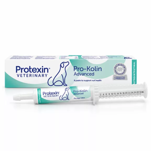 Protexin Pro-Kolin Advanced Bélflóra-támogató Paszta Kutyáknak 30 ml Protexin Pro-Kolin Advanced Bélflóra-támogató Paszta Kutyáknak 30 ml