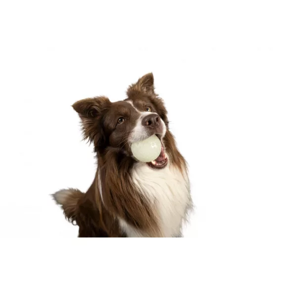 Kiwi Walker Let's Play! UV Glow TPR labda 8cm