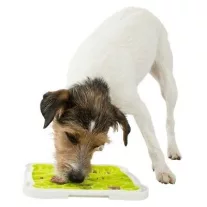 Licking Mat Plate - jutalomfalat adagoló tányér 20x20cm