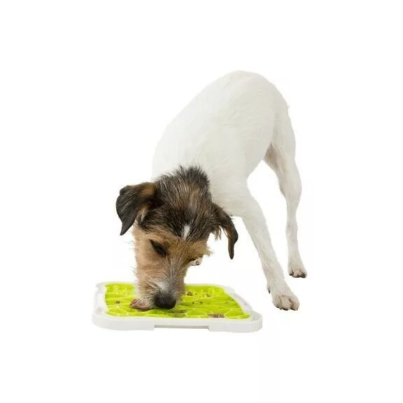 Licking Mat Plate - jutalomfalat adagoló tányér 20x20cm