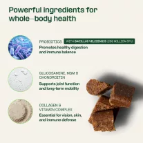   Doganics Core+ Daily Multivitamin komplex napi kiegészítő rágófalat 60 db