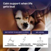   Doganics Mood Calm & Relax nyugalmat és kiegyensúlyozott viselkedést támogató rágófalat 60 db