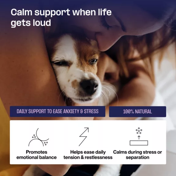 Doganics Mood Calm & Relax nyugalmat és kiegyensúlyozott viselkedést támogató rágófalat 60 db Doganics Mood Calm & Relax nyugalmat és kiegyensúlyozott viselkedést támogató rágófalat 60 db
