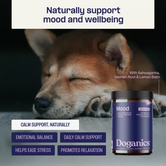 Doganics Mood Calm & Relax nyugalmat és kiegyensúlyozott viselkedést támogató rágófalat 60 db Doganics Mood Calm & Relax nyugalmat és kiegyensúlyozott viselkedést támogató rágófalat 60 db