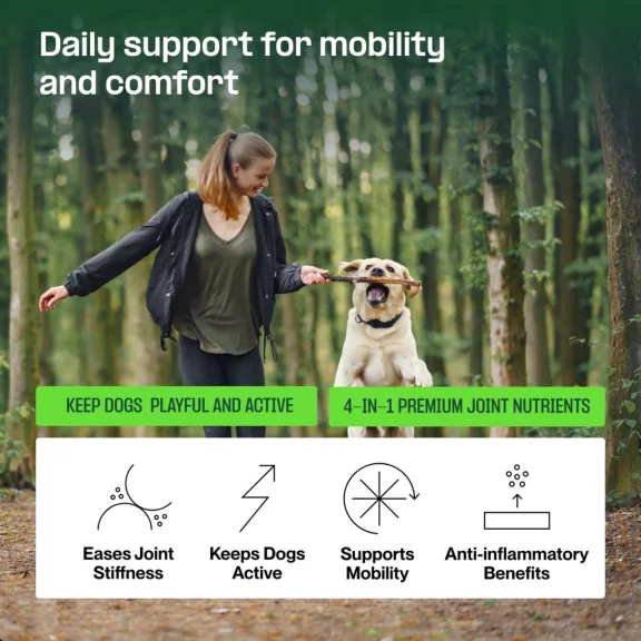 Doganics Active Hip & Joint ízület- és mozgástámogató puha rágófalat 60 db