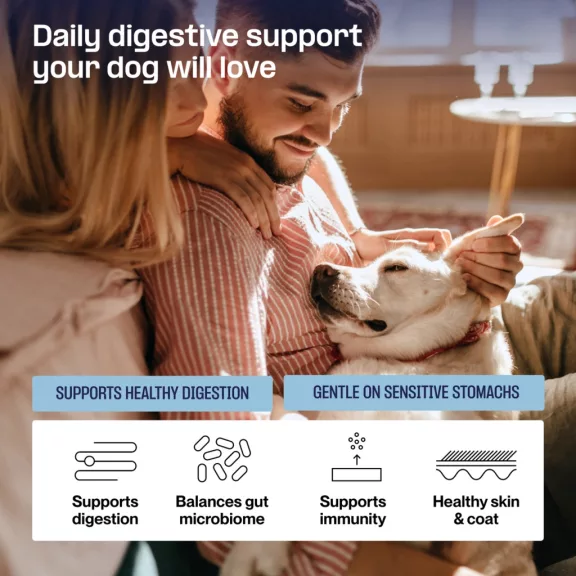 Doganics Digest Probiotic Gut probiotikus és prebiotikus emésztést támogató rágófalat 60 db