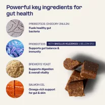   Doganics Digest Probiotic Gut probiotikus és prebiotikus emésztést támogató rágófalat 60 db