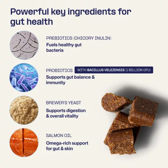 Doganics Digest Probiotic Gut probiotikus és prebiotikus emésztést támogató rágófalat 60 db