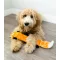 ZippyPaws Jigglerz Plüss Róka 54cm