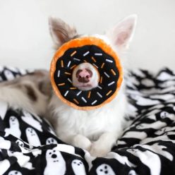 ZippyPaws Halloween Edition Donutz - sütőtökös 18cm