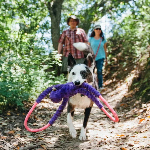 ZippyPaws RopeTugz lila majom 71cm