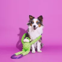 ZippyPaws RopeTugz zöld majom 71cm