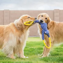 ZippyPaws RopeTugz kék majom 71cm