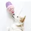 ZippyPaws NomNomz® muffin 14cm