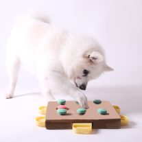 Agyi funkciók támogatói