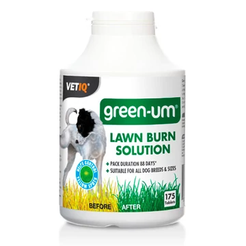 mc-green-um-175.jpg.webp