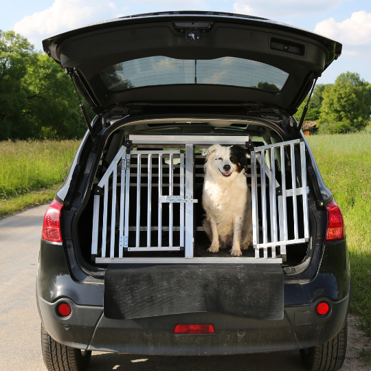 Kutyás kalandozás - hogyan utazz biztonságosan