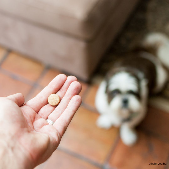 Adj egy egészséges löketet kutyádnak - étrendkiegészítők