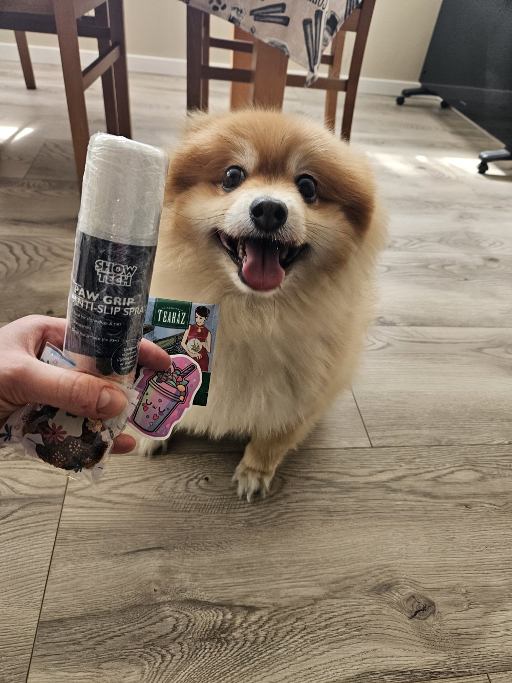 Show Tech Paw Grip - csúszásgátló spray 150ml