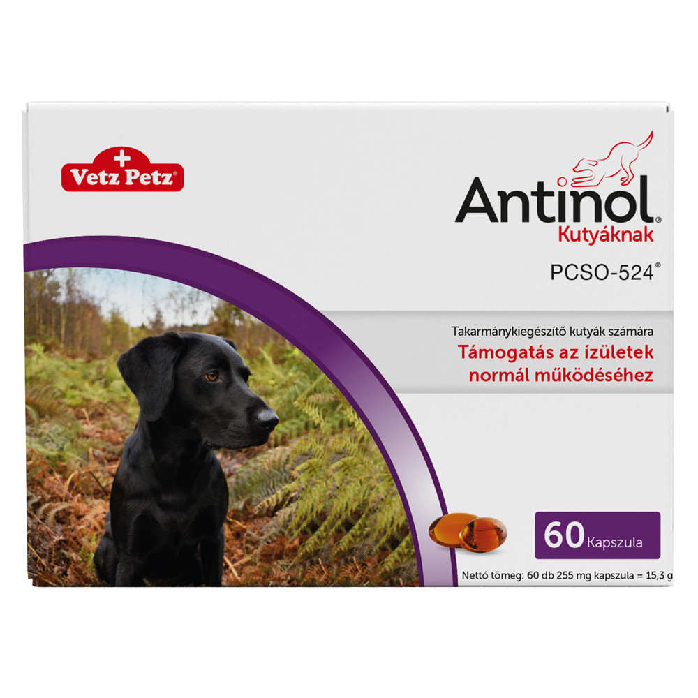 Antinol komplex ízületvédő kapszula kutyáknak 60db